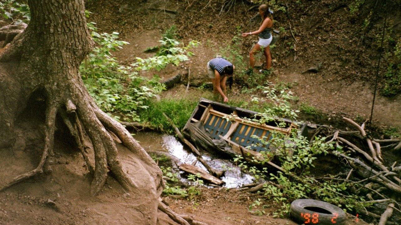 LOVE IN PLAIN SIGHT backdrop