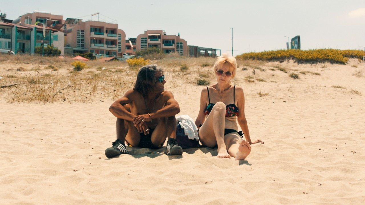 The Last Seagull backdrop