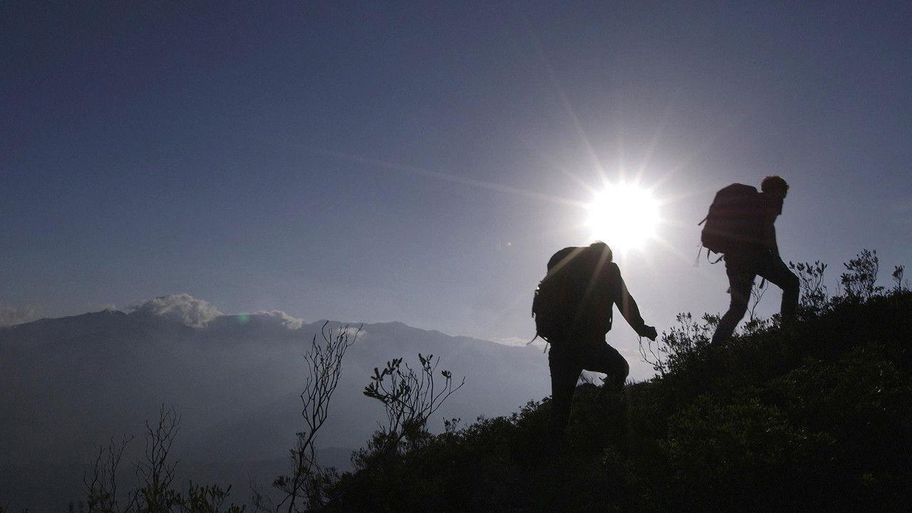 De helden van Arnout backdrop