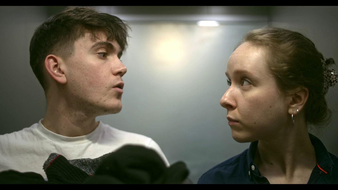 White Roses backdrop