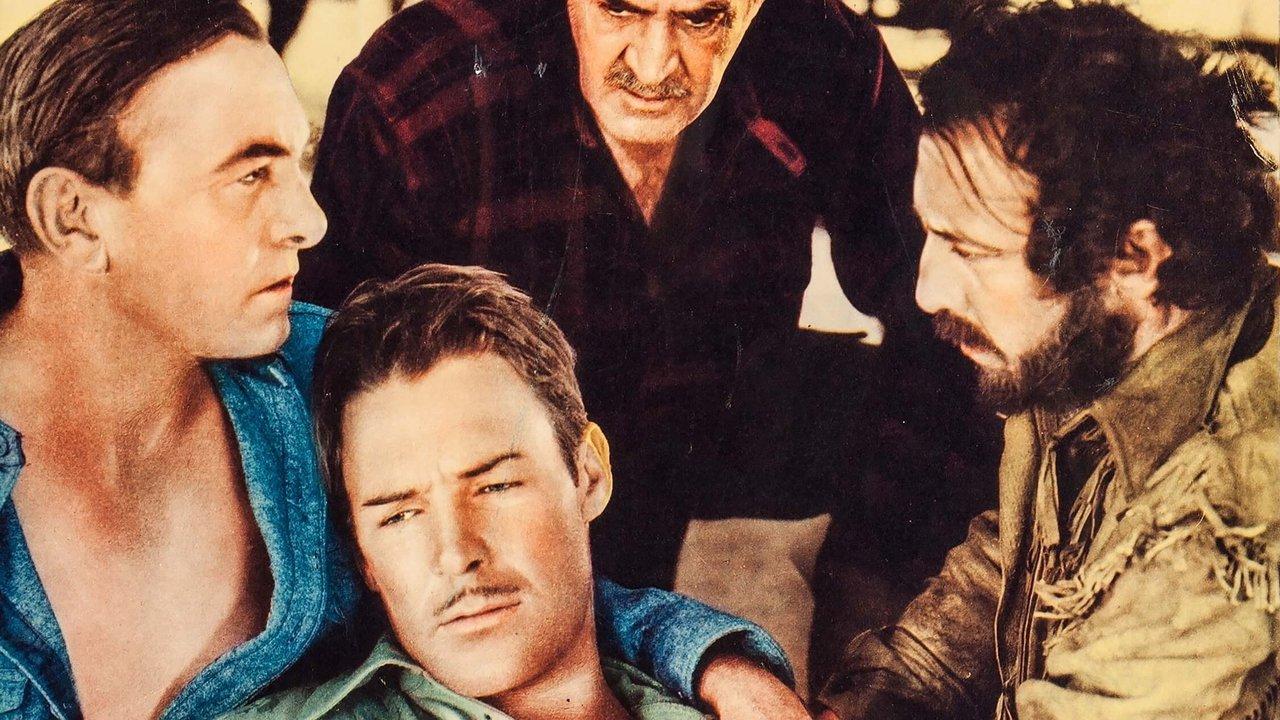 Buffalo Stampede backdrop