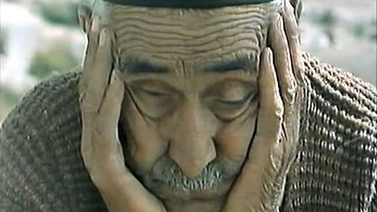 Marko Perov backdrop