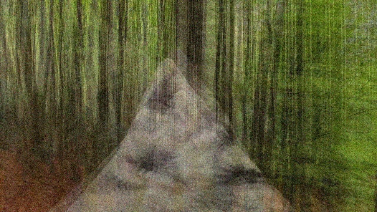 Nett av bortkomne inntrykk backdrop