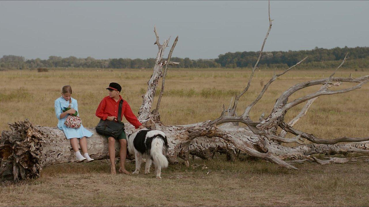 The Brave Adventures of a Little Shoemaker backdrop