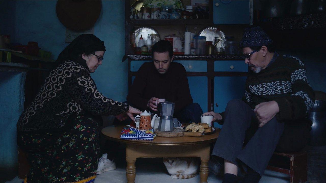 The House is on Fire, Might as Well Get Warm backdrop