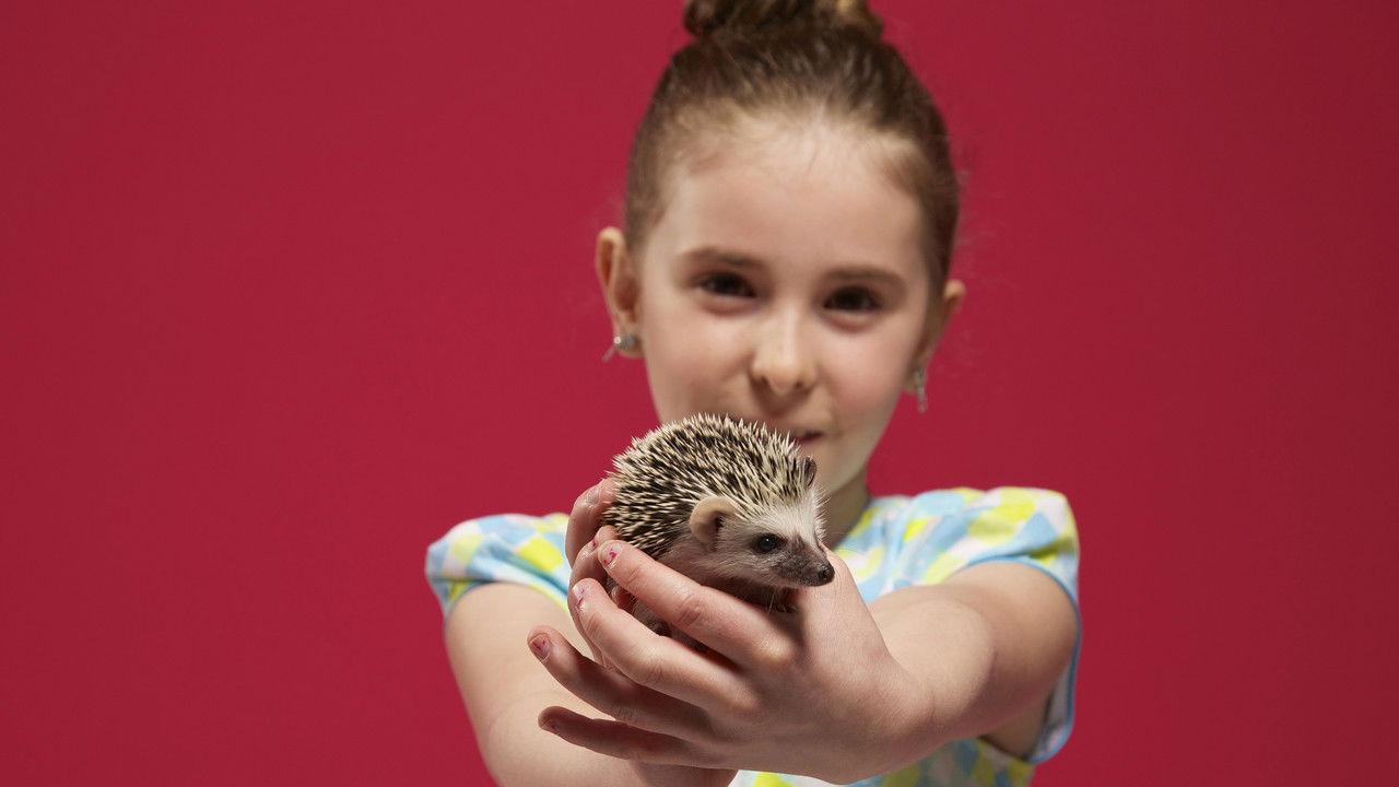 Ultimate Pet Lover backdrop