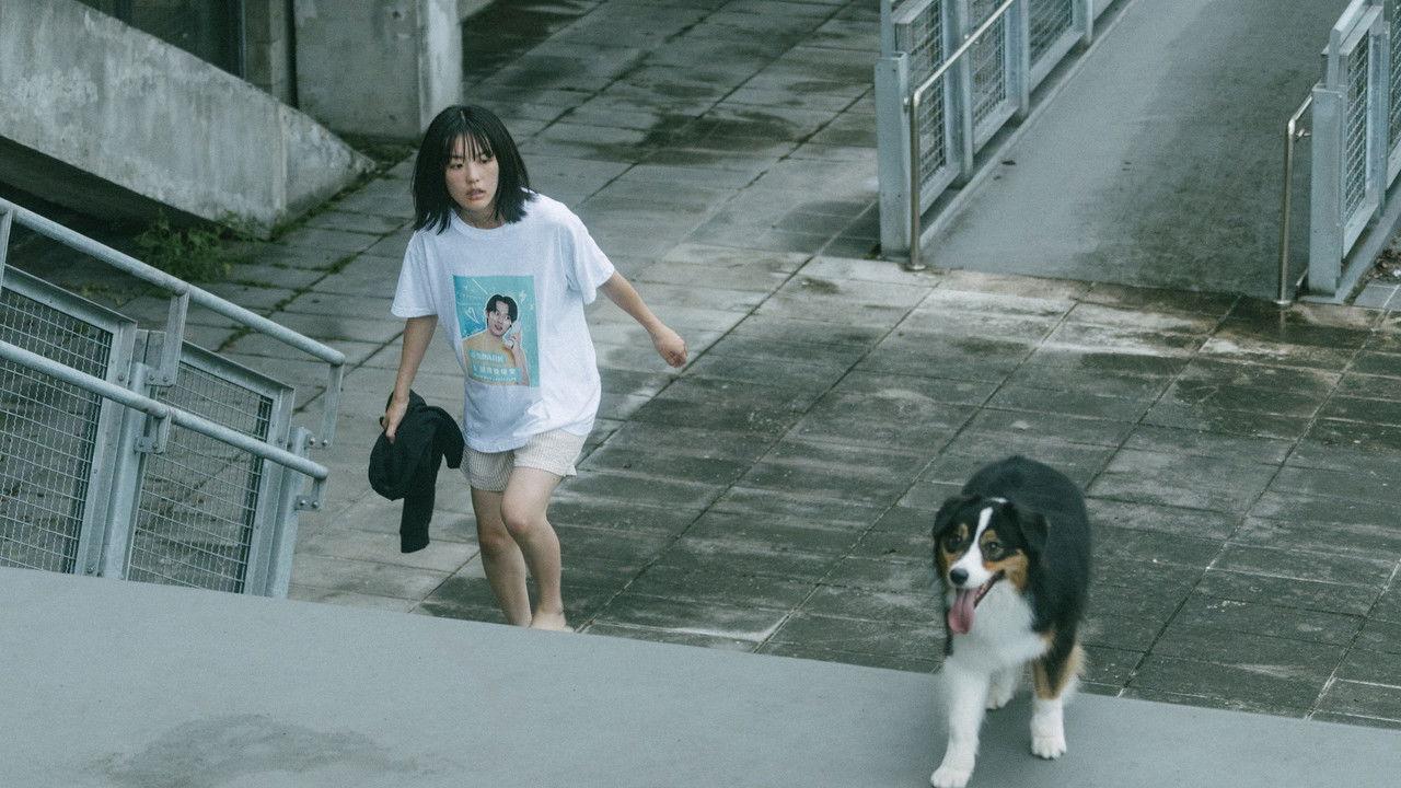 Till Next Time backdrop