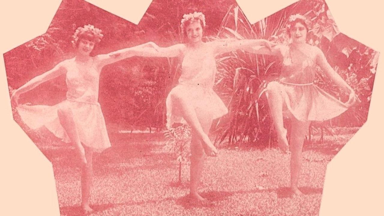 Sinfonia da Floresta backdrop