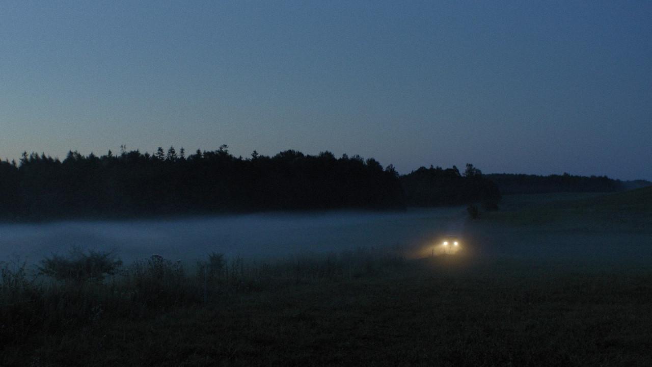 The Dreams Of Lonely People backdrop