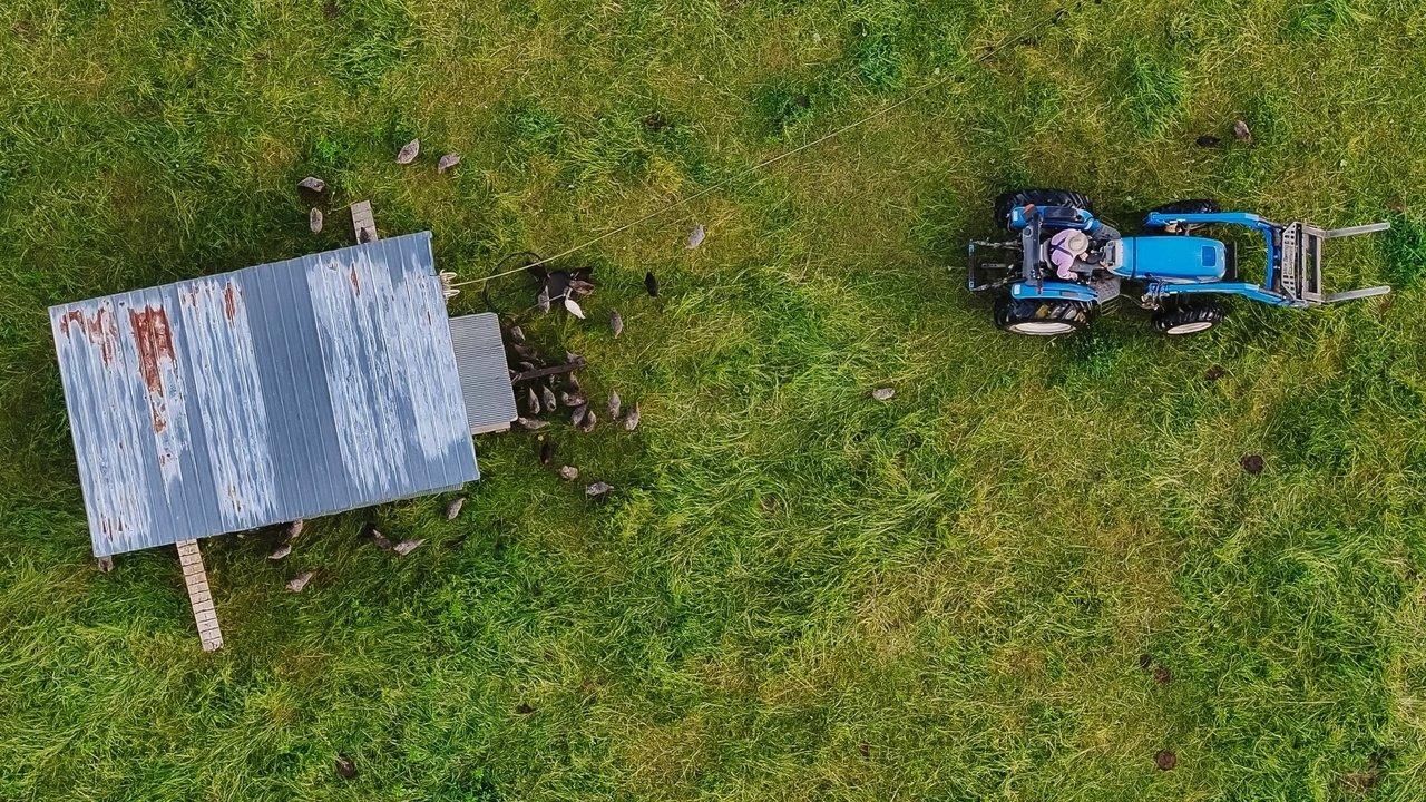The Lunatic Farmer backdrop