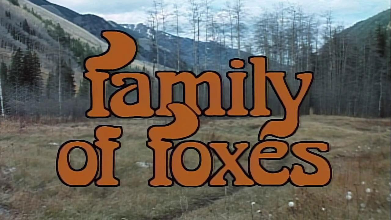 Family Of Foxes