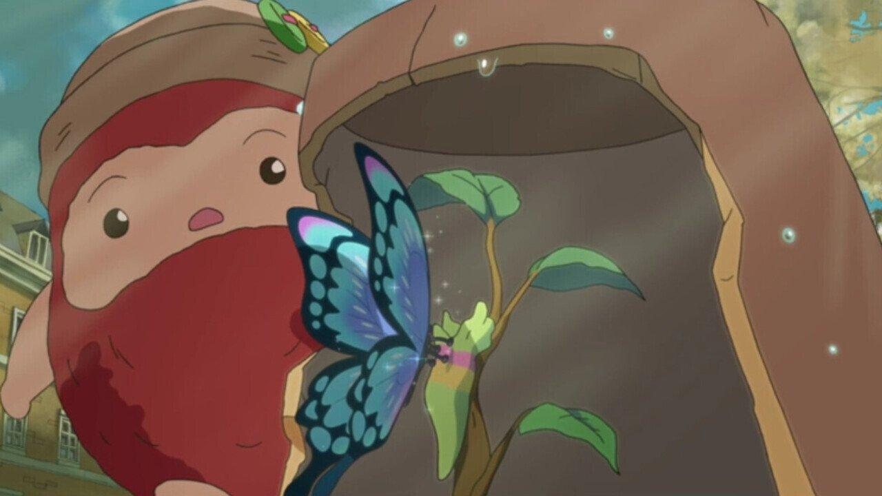 Traveling 'Daru' backdrop