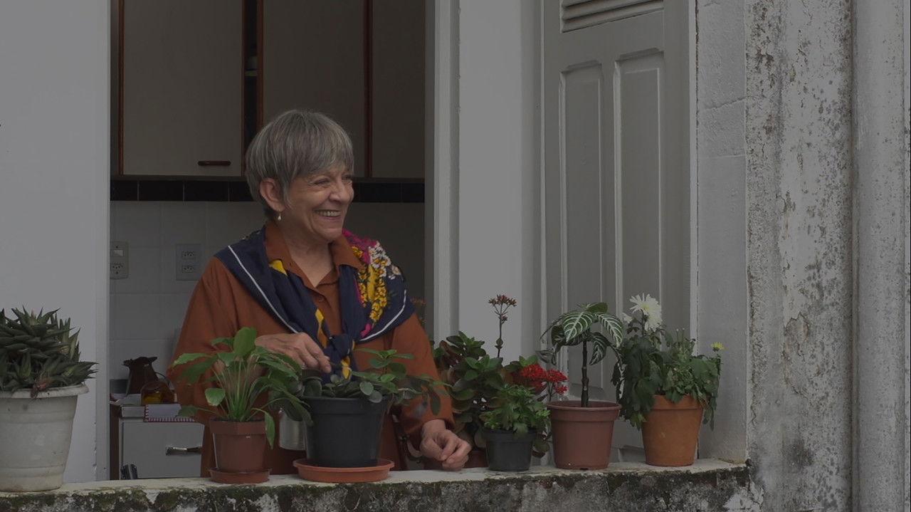 Vista para dias nublados backdrop