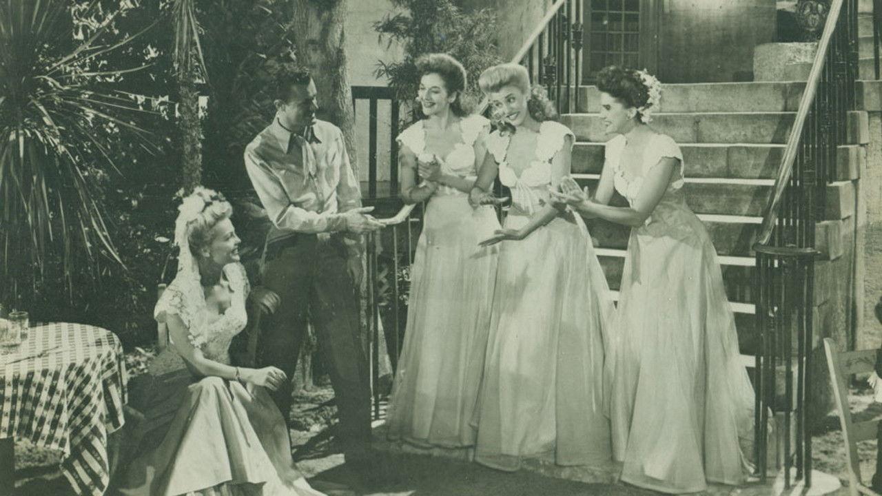 Moonlight and Cactus backdrop