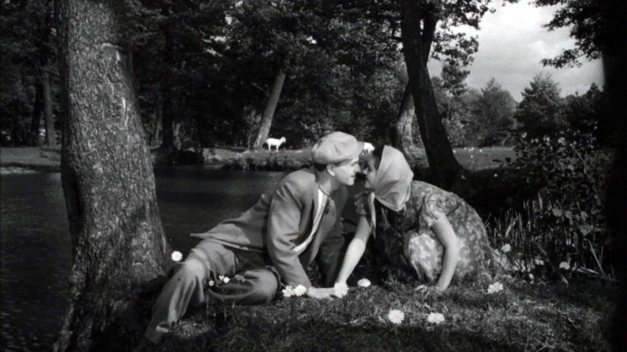Shtepsel Arranges The Marriage Of Tarapunka backdrop