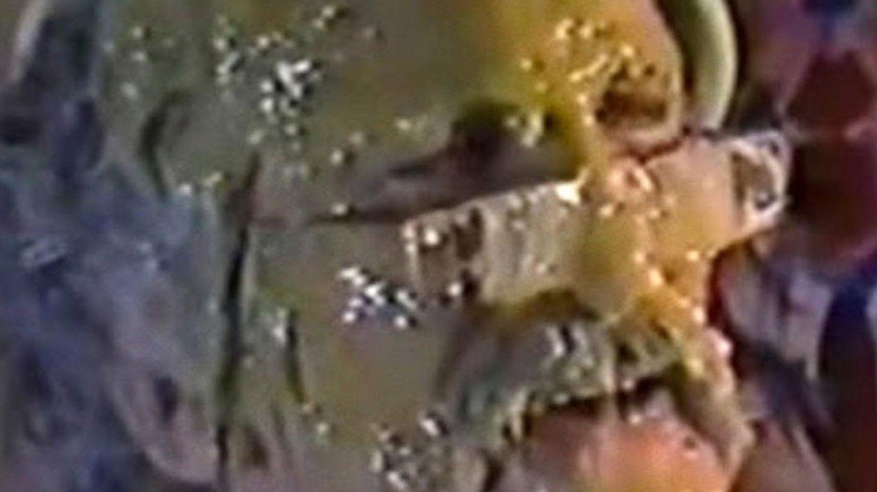 The Brainsucker backdrop