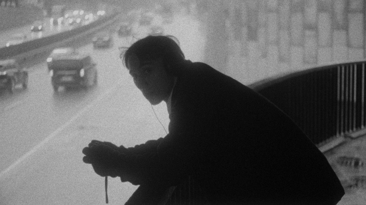 SHOOT LIKE NOBODY'S WATCHING backdrop