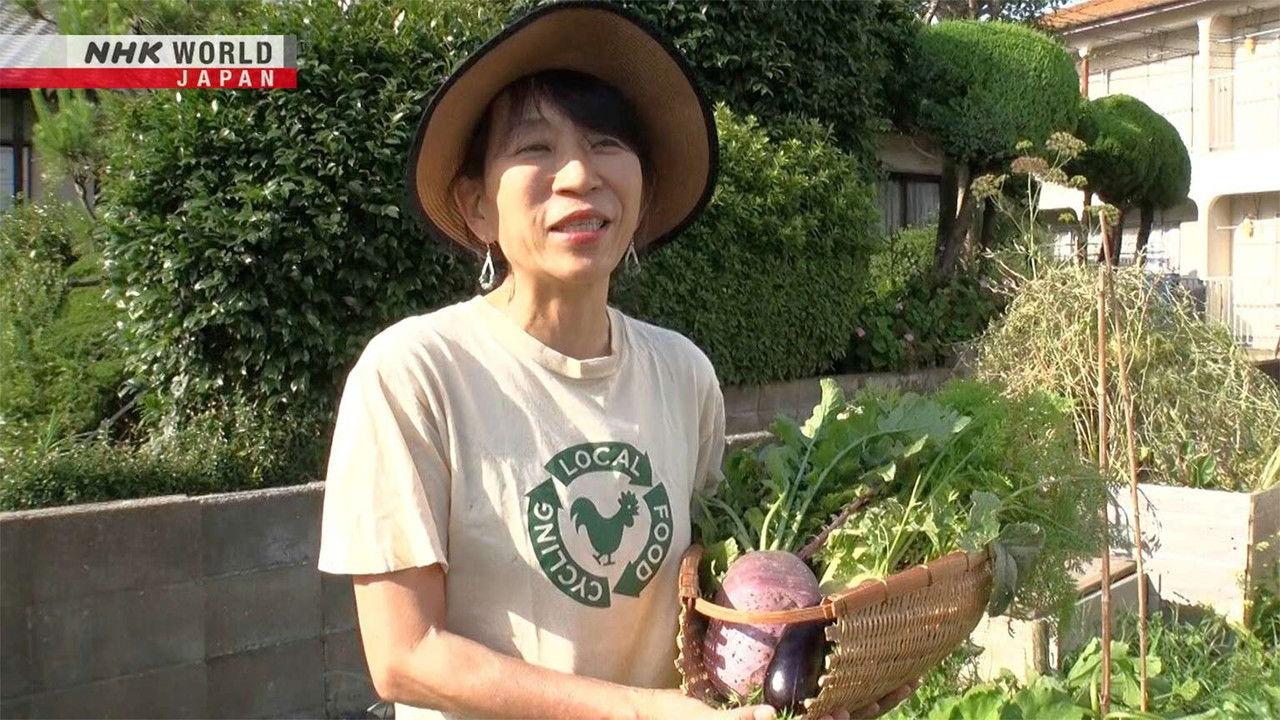 Compost Promoter - Taira Yuiko