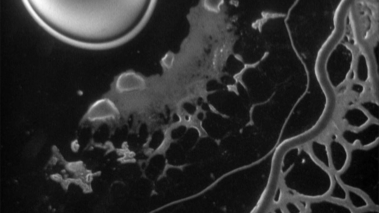 Magic Myxies backdrop