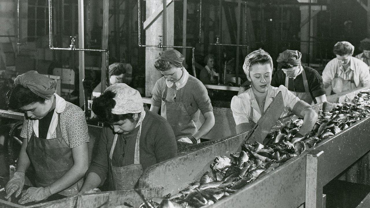 Working People: A History of Labour in British Columbia backdrop