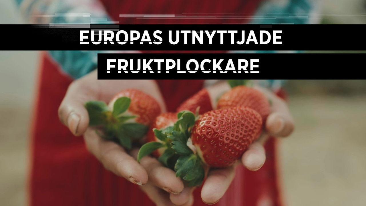 The Pickers backdrop