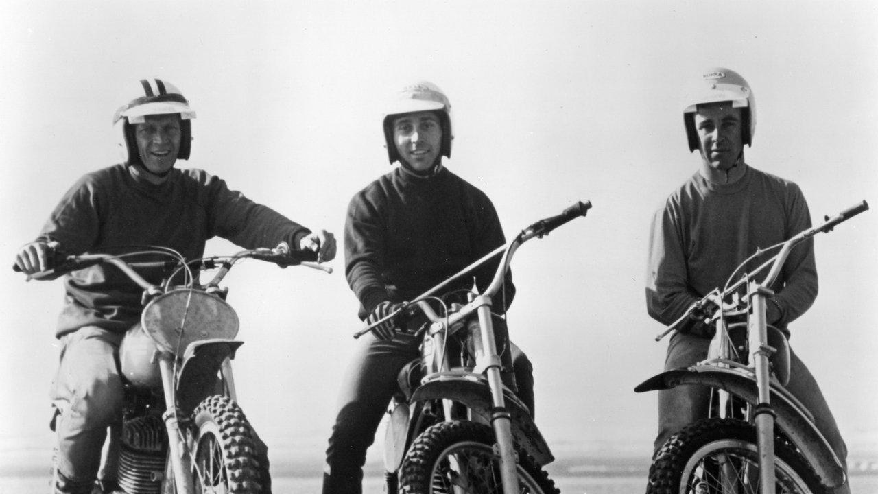 On Any Sunday Collection backdrop