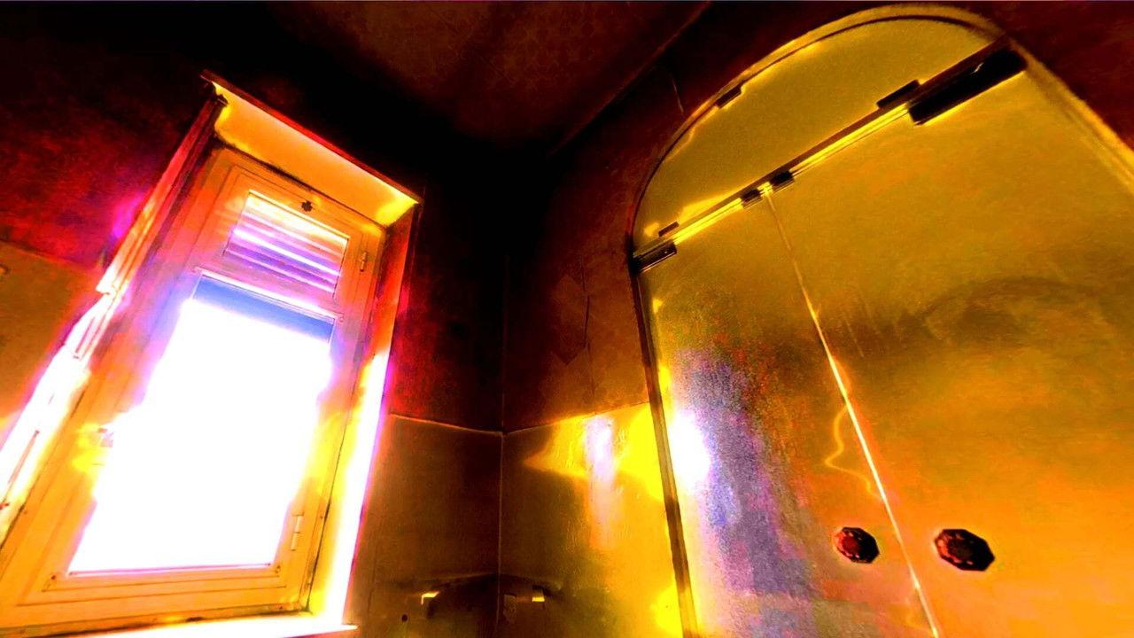 Synecdoche Turin backdrop