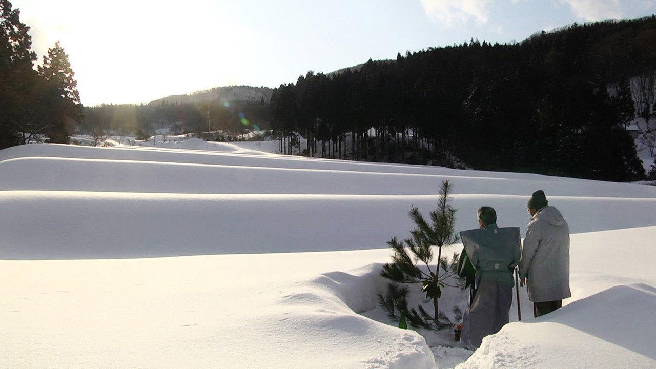 The Genealogy of Sake backdrop
