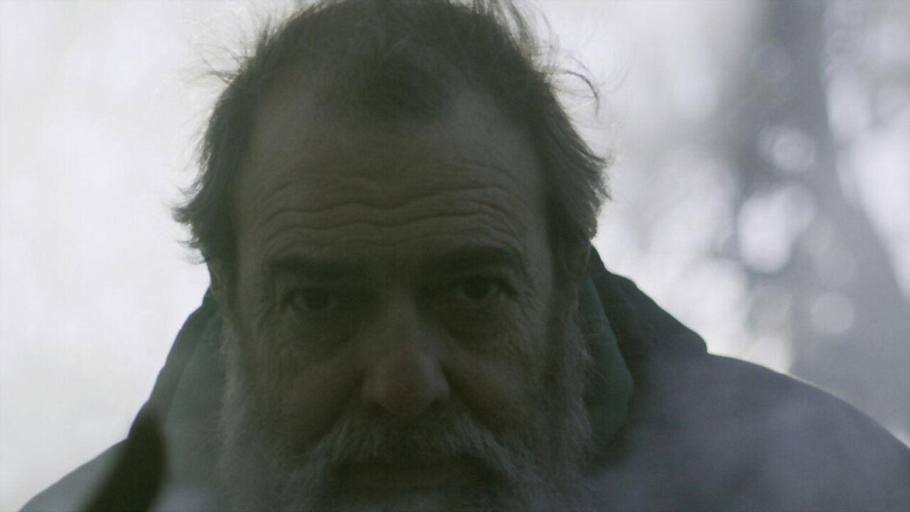 Smoke Between Trees backdrop