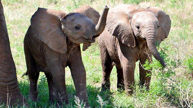 Live Update Sri Lanka