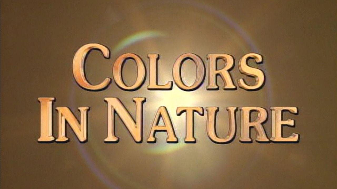 Colors in Nature