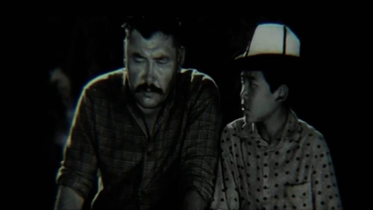 Swans Arrive Here backdrop