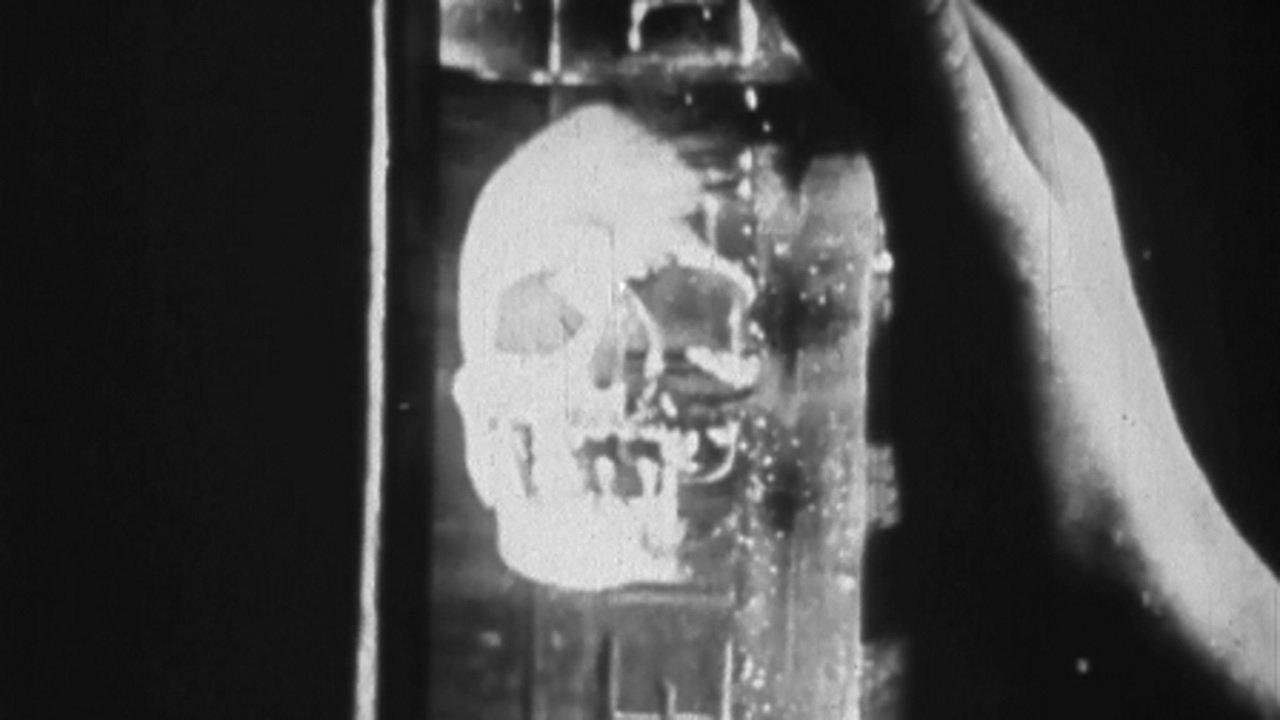 Episodes in the Life of a Gin Bottle backdrop