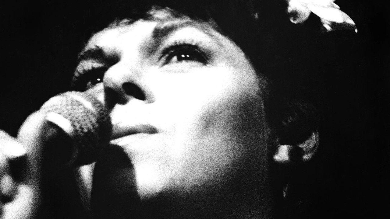 Miúcha, The Voice of Bossa Nova backdrop