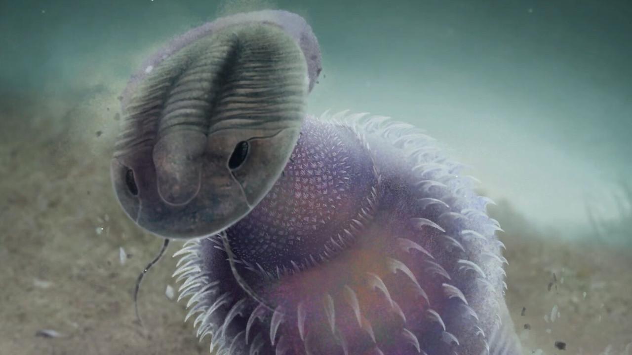 How Worm Holes Ended Wormworld