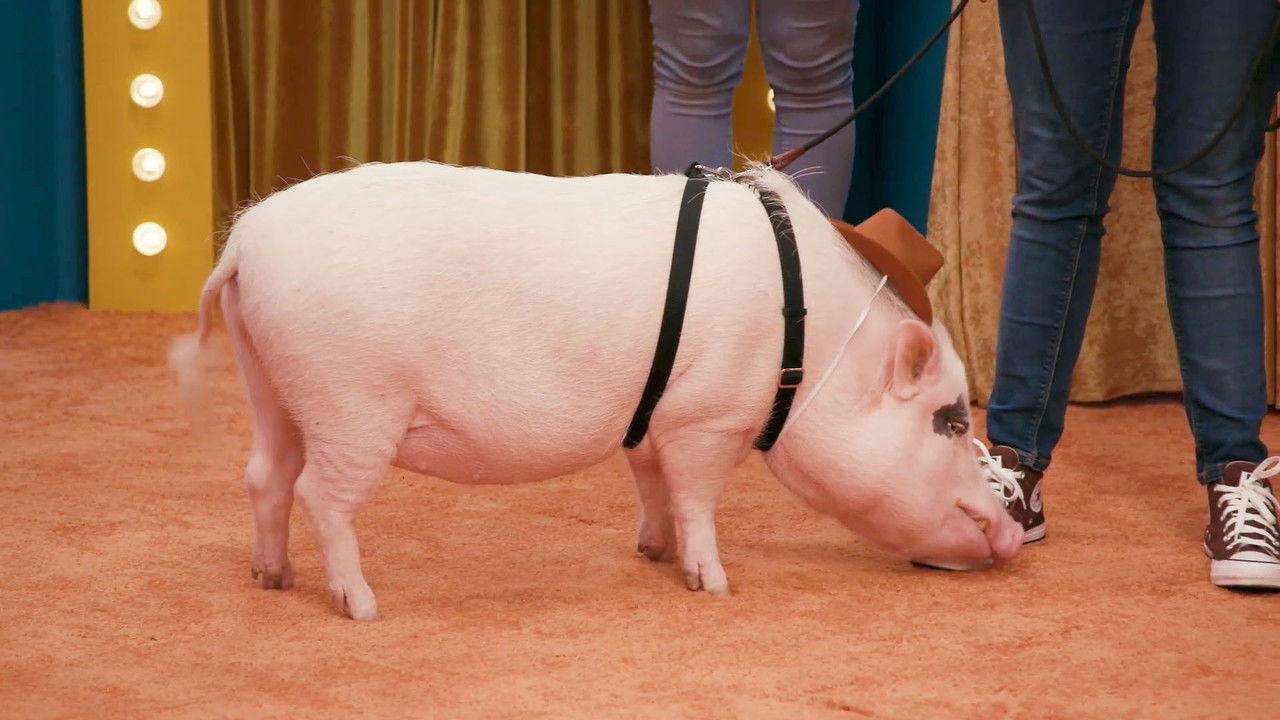 Behind the Scenes of “Sam Says 3”