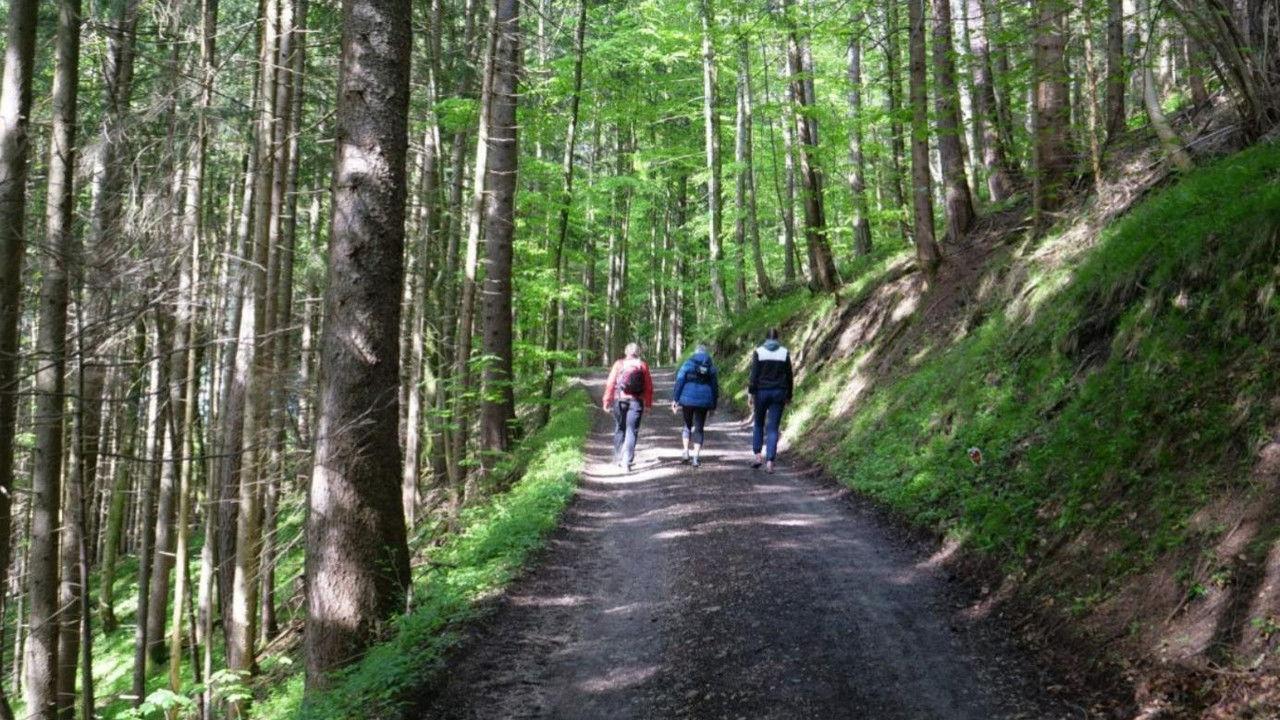 Walking: Miracle Cure for Body and Soul backdrop