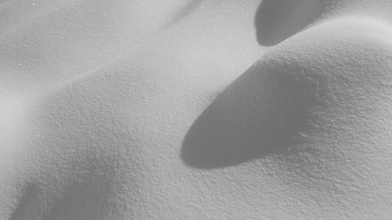 Laughing Fishes Gave Me a Lift backdrop