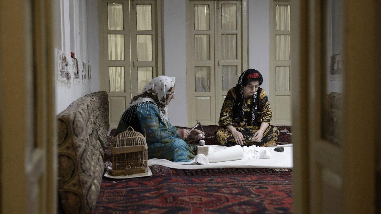 Partridges Fly Time backdrop