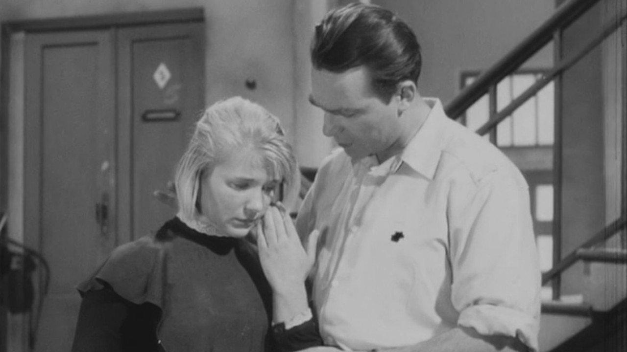 The Wild Dog Dingo backdrop