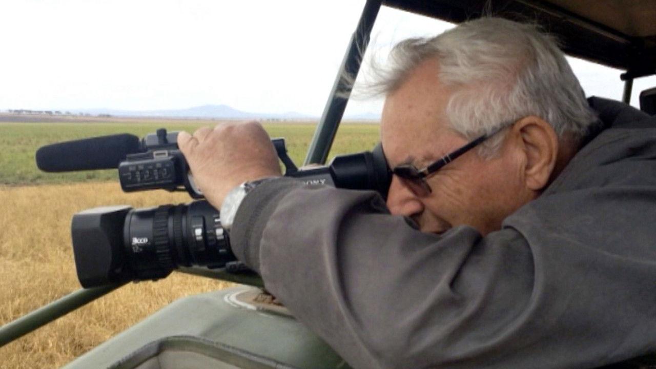 Stories from the Savannah: A Journey to Tanzania backdrop