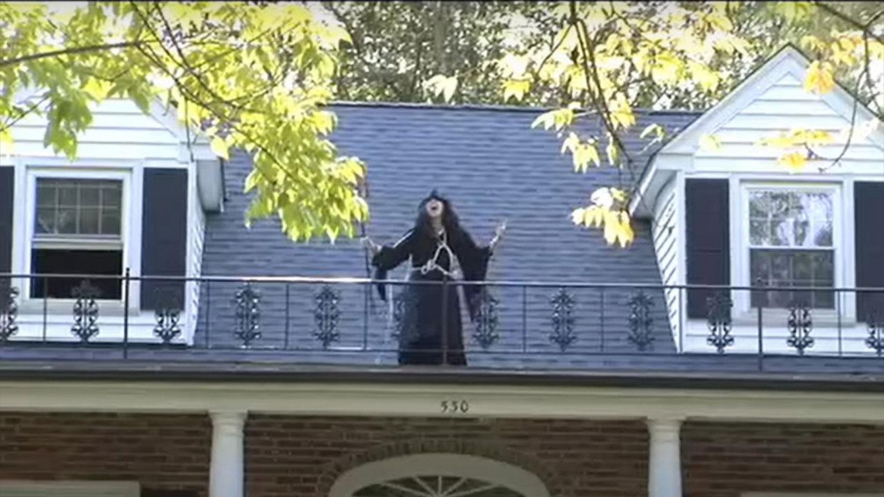 Teen Hag - Trailer backdrop