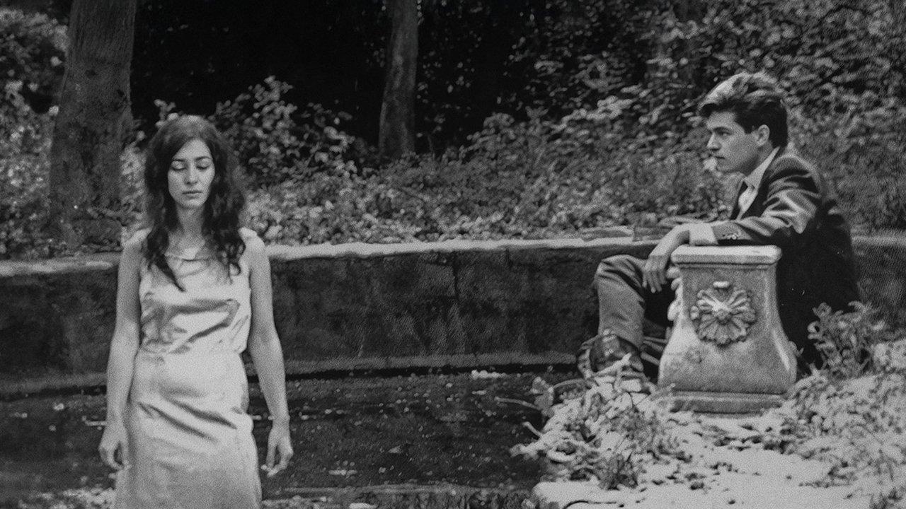 Love Stories of the Pale Night backdrop