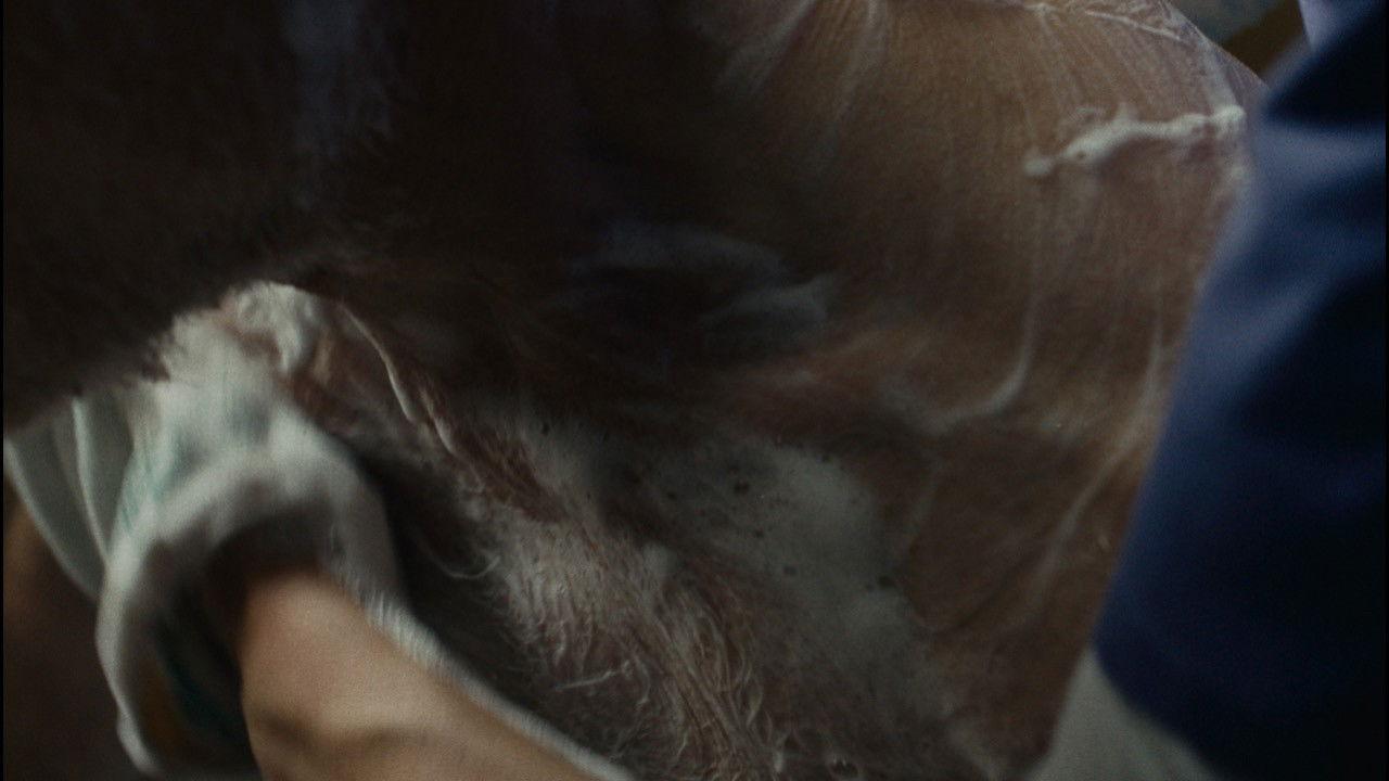 Dignity Keeper backdrop