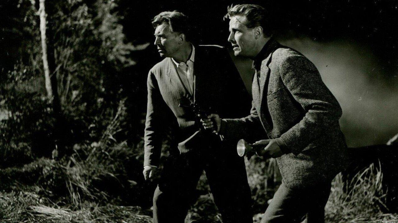 Der Schatz vom Toplitzsee backdrop