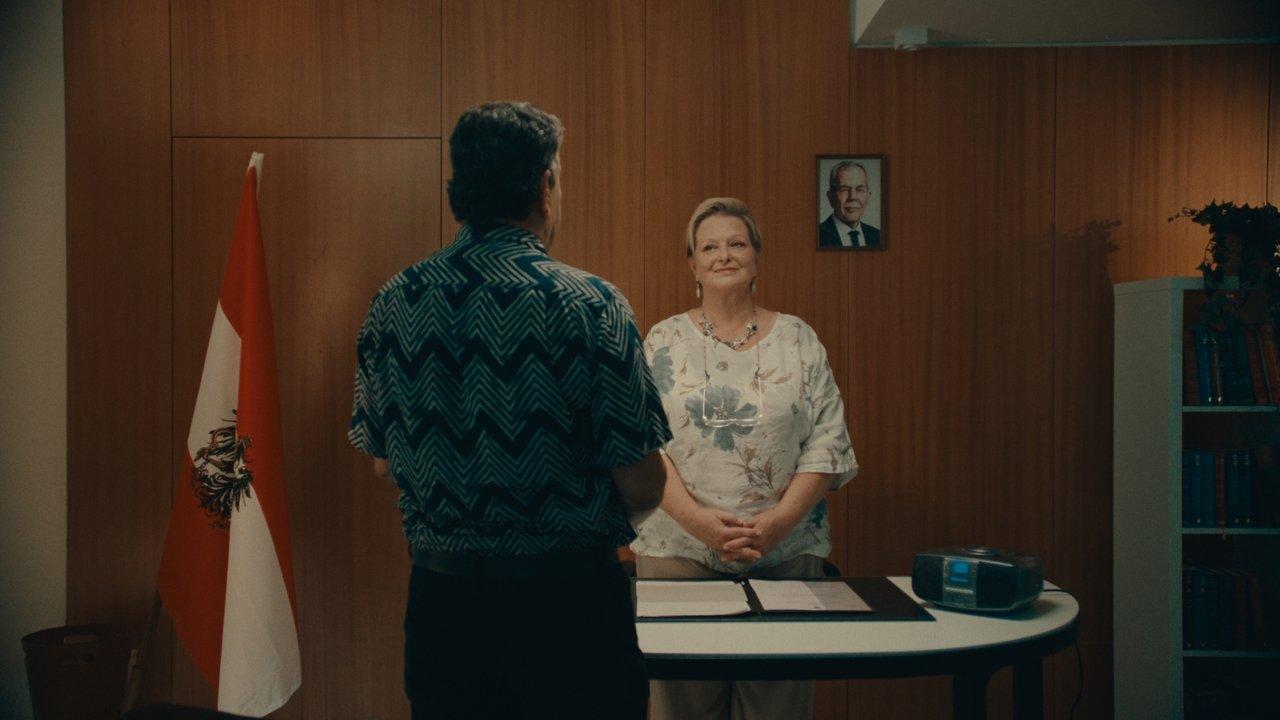 Far from Being Lipizzans backdrop