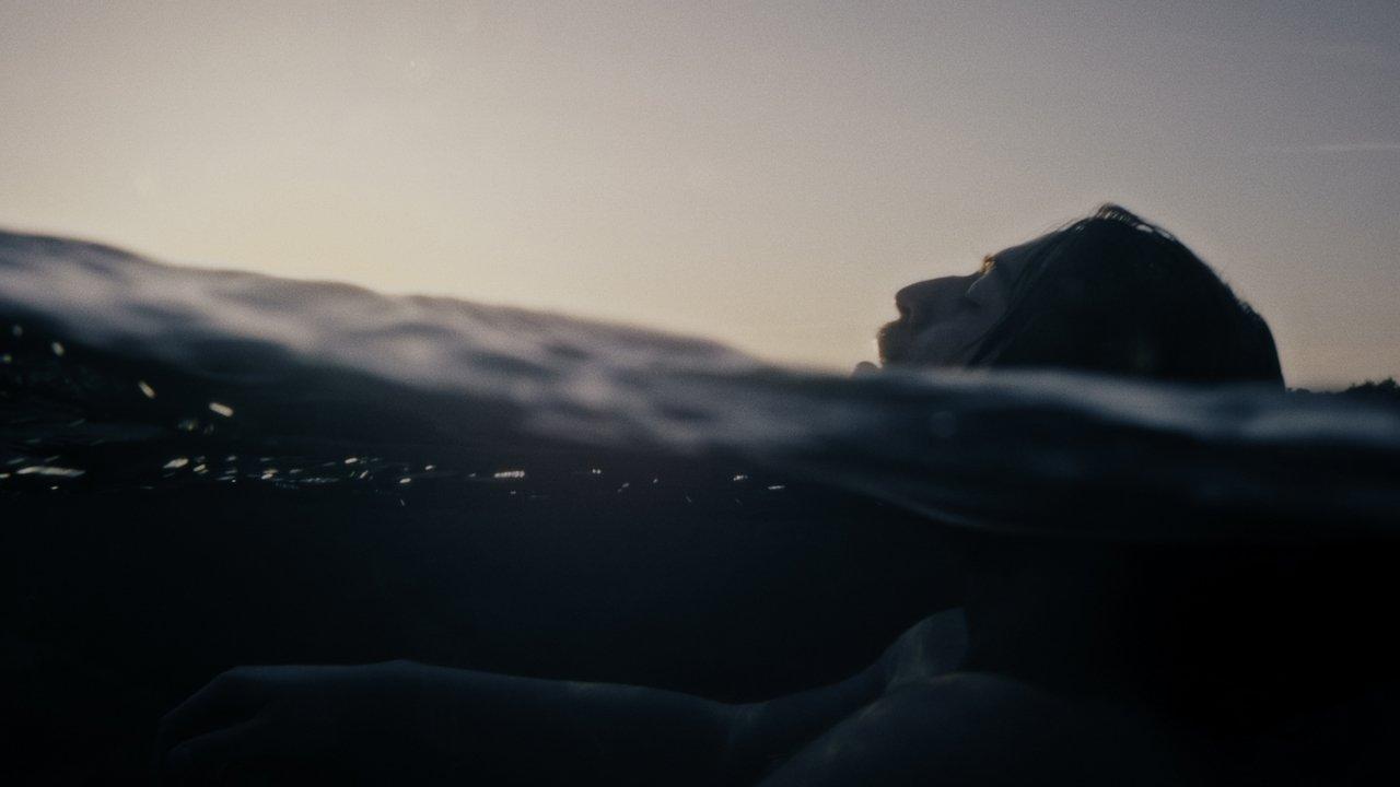 Anche il riccio respira backdrop