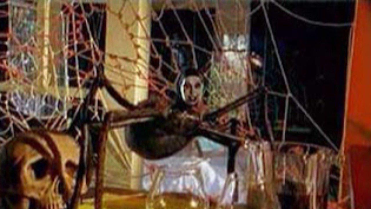 Mari-Cookie and the Killer Tarantula backdrop