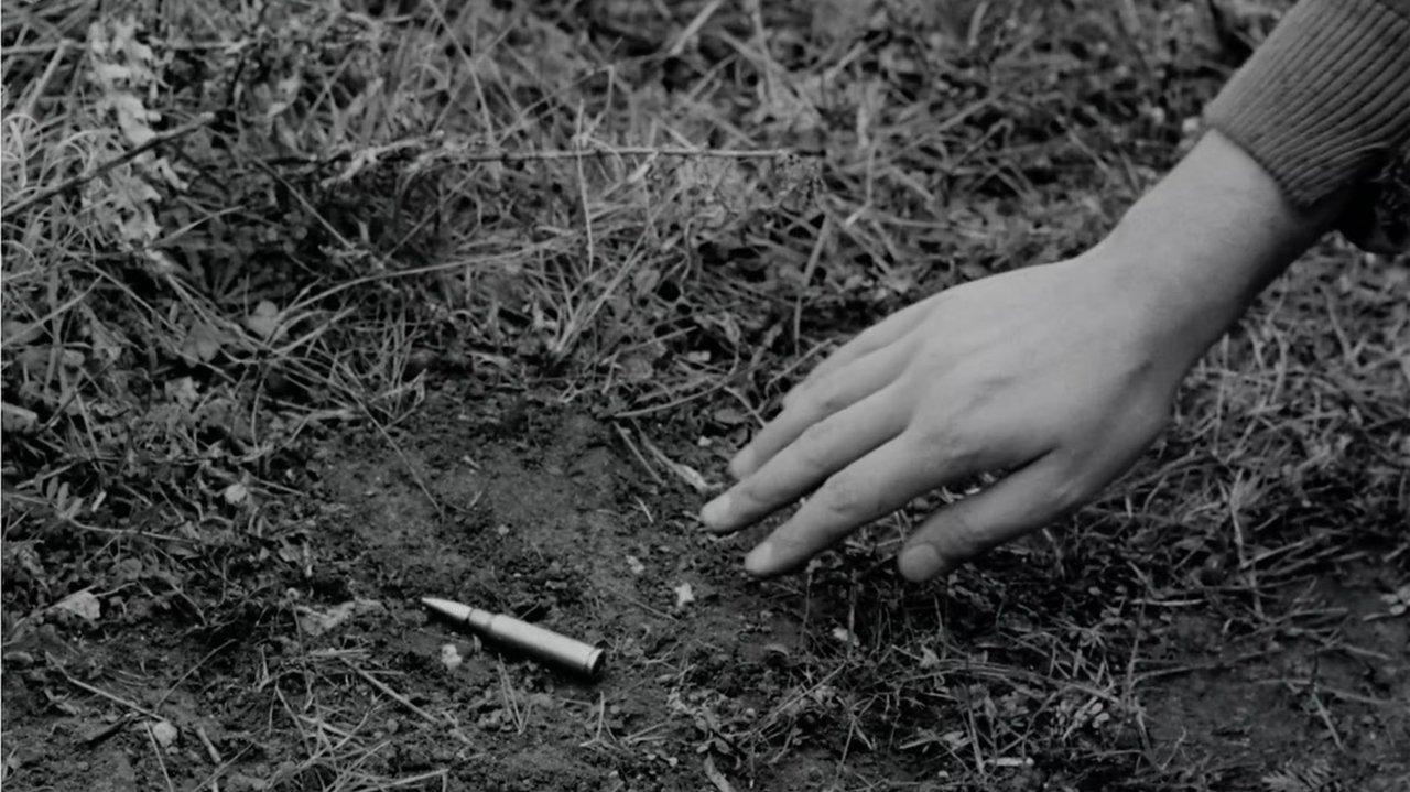 Four Days of a Partisan backdrop