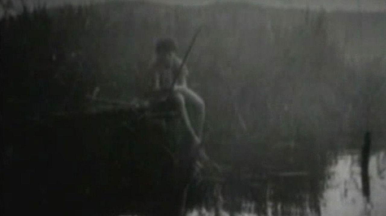 Vagabund für fünf Tage backdrop